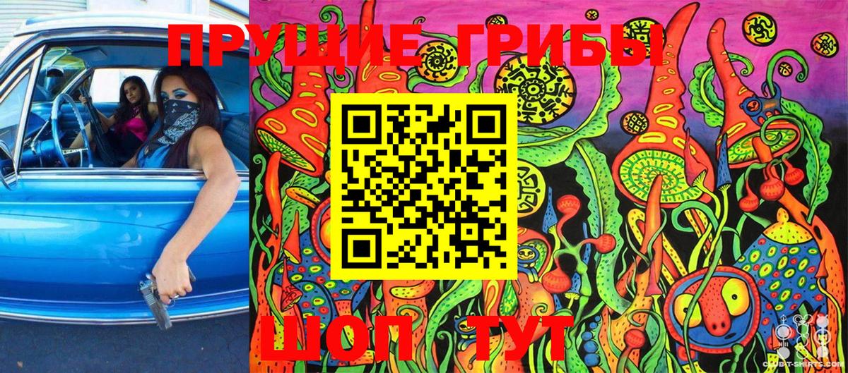 Галлюциногенные грибы Psilocybe Дзержинский